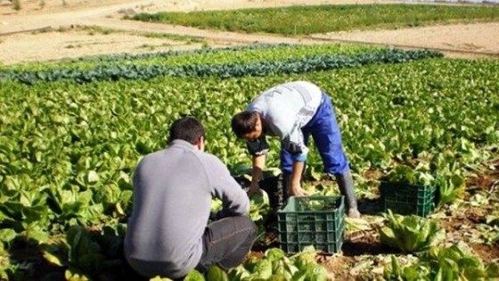 F. López: 'El Instituto Nacional de la Granja debe contemplar las necesidades de la producción Familiar' — Granja — Dinámica Rural | El Espectador 810