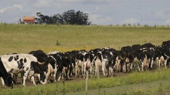 G. de Souza: 'Quienes inviertan en Pili tienen que darnos ciertas garantías' — Lechería — Dinámica Rural | El Espectador 810