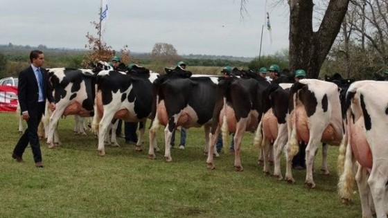 P. Rostagnol: 'Este año es difícil que se realicen exposiciones en Holando' — gremiales — Dinámica Rural | El Espectador 810