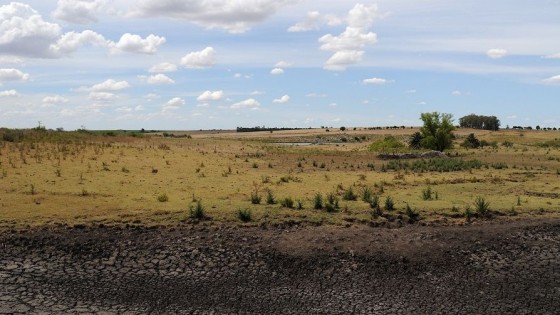 Déficit hídrico, la Niña y su impacto en Uruguay — Entrevistas — Primera Mañana | El Espectador 810