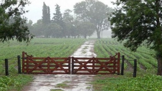 M. Bidegain: 'Las lluvias ocurrieron en el momento justo' — Clima — Dinámica Rural | El Espectador 810