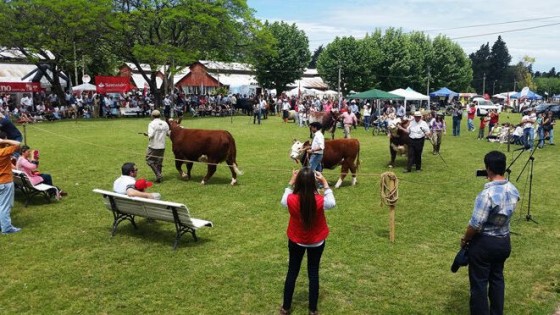 A. Alvarez: La 74a Expo Paysandú representa 'la sinergia entre la ganadería y la agricultura' — gremiales — Dinámica Rural | El Espectador 810