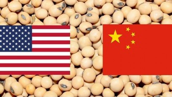 Chicago: China sigue comprando a buen ritmo la 'soja de Trump' — Economía — Dinámica Rural | El Espectador 810