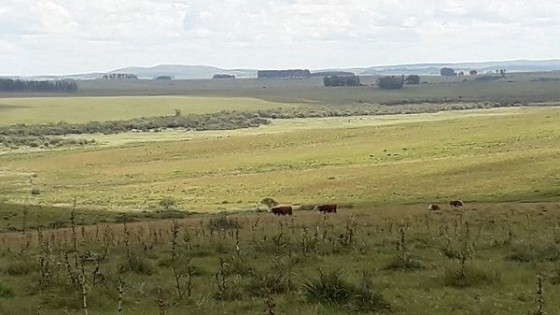 Clima: Noviembre ''viene con lluvias escasas'' — Clima — Dinámica Rural | El Espectador 810