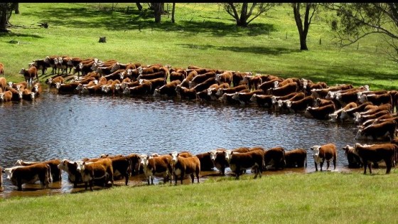 El MGAP promueve soluciones de agua con descuento de IVA y con un 10% adicional — Inversión — Dinámica Rural | El Espectador 810