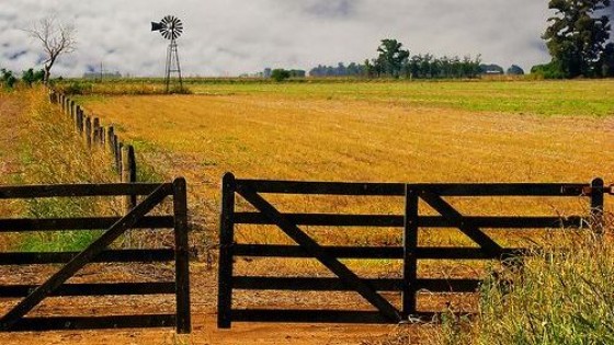 G. Labrador: ''Se esperan lluvias para el fin de semana y primeros días de diciembre'' — Clima — Dinámica Rural | El Espectador 810