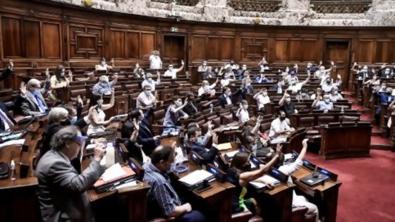 El debate en el Parlamento sobre la limitación del derecho a reunión — Informes — No Toquen Nada | El Espectador 810