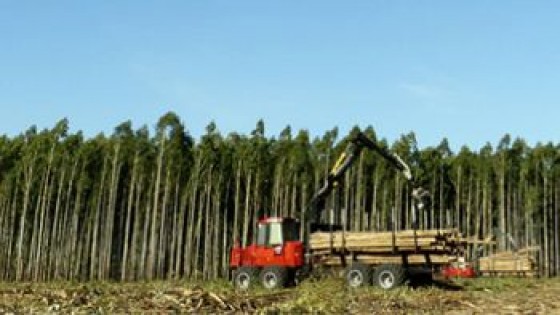 Federación Rural con varios temas en agenda, pero será prioridad el Forestal — gremiales — Dinámica Rural | El Espectador 810