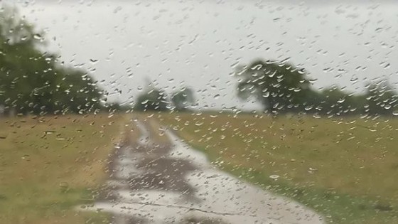 Mario Bidegain: lluvias martes y miércoles, y descenso de temperatura el jueves — Clima — Dinámica Rural | El Espectador 810