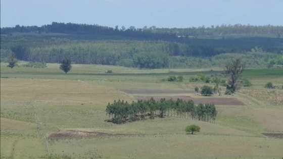 G. Labrador: ''Marzo tendría lluvias por debajo qué febrero, pero por encima que las de enero'' — Clima — Dinámica Rural | El Espectador 810