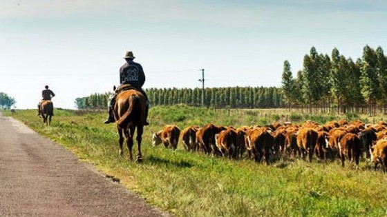 ''En Federación Rural trabajamos en mejores condiciones para el productor rural'' — gremiales — Dinámica Rural | El Espectador 810