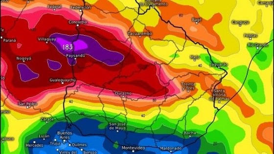 M. Bidegain: ''Para jueves y viernes se esperan lluvias significativas'' — Clima — Dinámica Rural | El Espectador 810