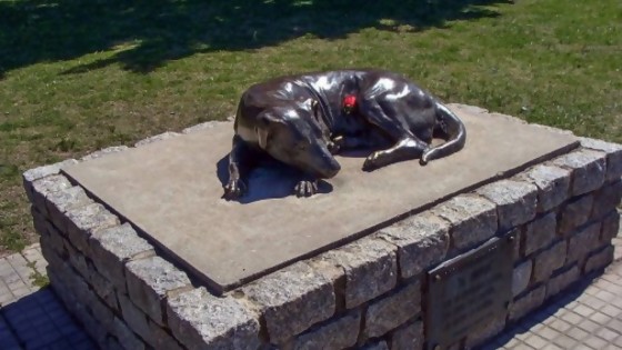 El Gaucho: la estatua que recuerda a un perro de nadie, pero de todos los duraznenses — ¡Qué animal! — Abran Cancha | El Espectador 810