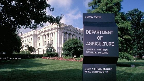 F. Morixe: ''Previo al reporte del USDA, el mercado reaccionó volátil'' — Comercio Exterior — Dinámica Rural | El Espectador 810