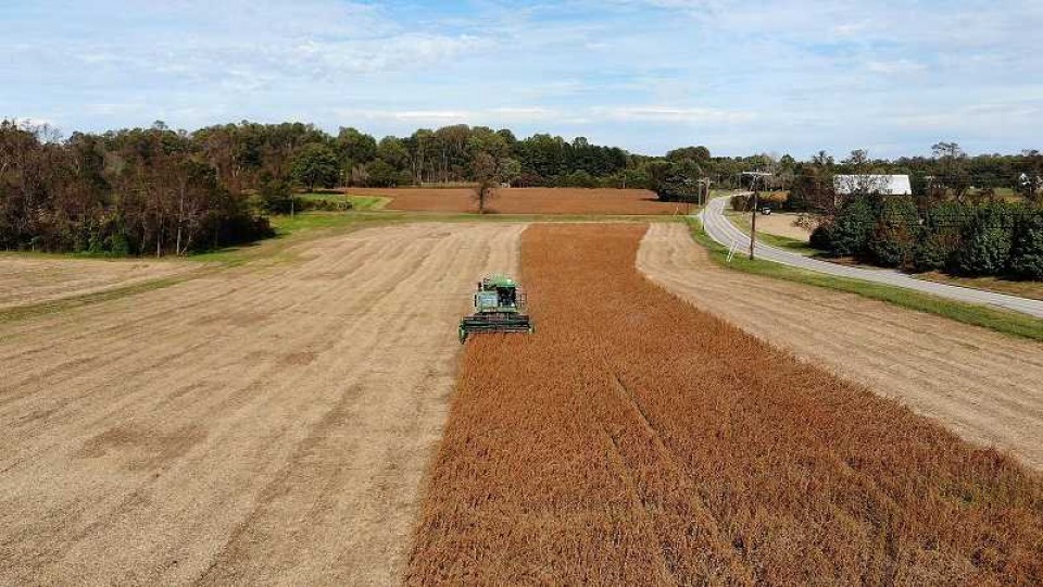 La soja marca rindes dentro de lo esperado, donde el promedio se ubica en 3.000 kgs/há —  Audios — Dinámica Rural | El Espectador 810