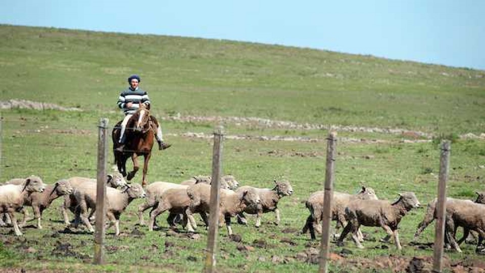 CNFR ve con ''buenos ojos'' iniciativa de Manini Ríos —  gremiales — Dinámica Rural | El Espectador 810