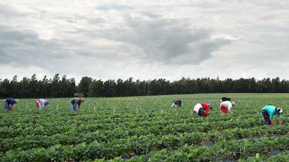 Análisis sobre la investigación del MGAP ante irregularidades en el Fondo Nacional de la Granja —  Granja — Dinámica Rural | El Espectador 810