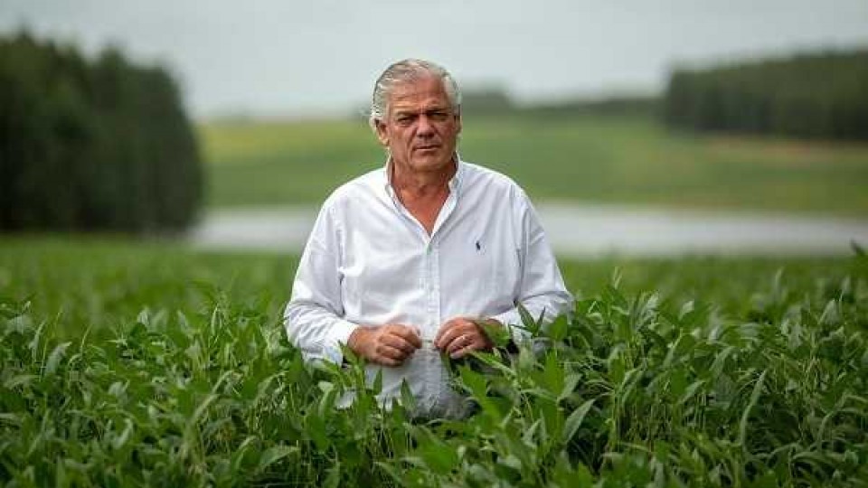 Forestación y ganadería: bienestar animal, diversificación y más ingresos económicos — Agricultura — Dinámica Rural | El Espectador 810