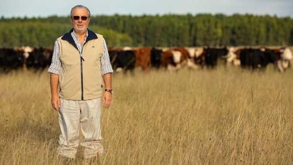 La forestación se ha transformado en un gran aliado productivo y económico en las empresas ganaderas —  Economía — Dinámica Rural | El Espectador 810