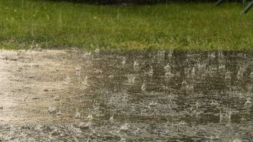 Temperaturas bajas y lluvias por encima de lo normal —  Audios — Dinámica Rural | El Espectador 810