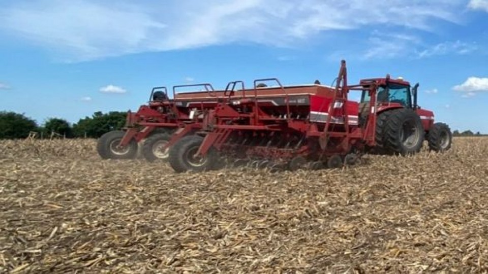 Comenzó la siembra de colza y se viene la trilla de soja —  Agricultura — Dinámica Rural | El Espectador 810