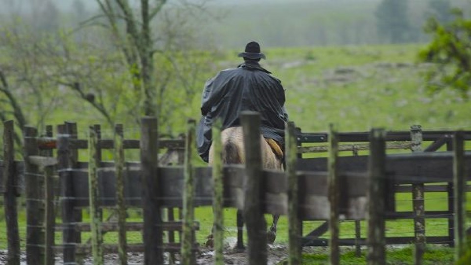 M. Bidegain: “Mayo tendrá lluvias dentro de lo normal” —  Clima — Dinámica Rural | El Espectador 810