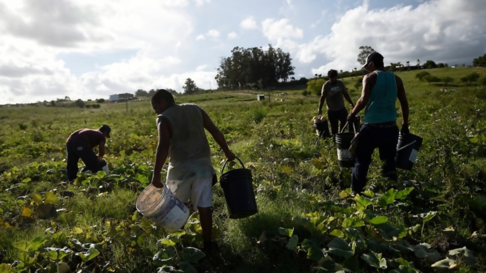 La Unión de Trabajadores Rurales confirmó incumplimiento de protocolo sanitario en el sector citrícola —  Entrevistas — Al Día 810 | El Espectador 810