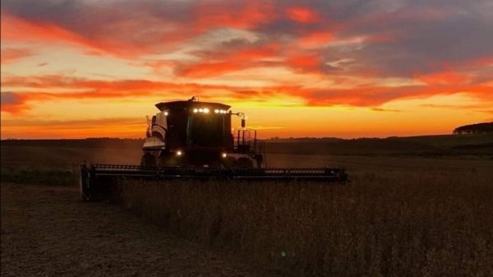 L. Simean: ''En Paysandú finalmente la soja marcó un promedio de 1800 kilos/há'' —  Agricultura — Dinámica Rural | El Espectador 810