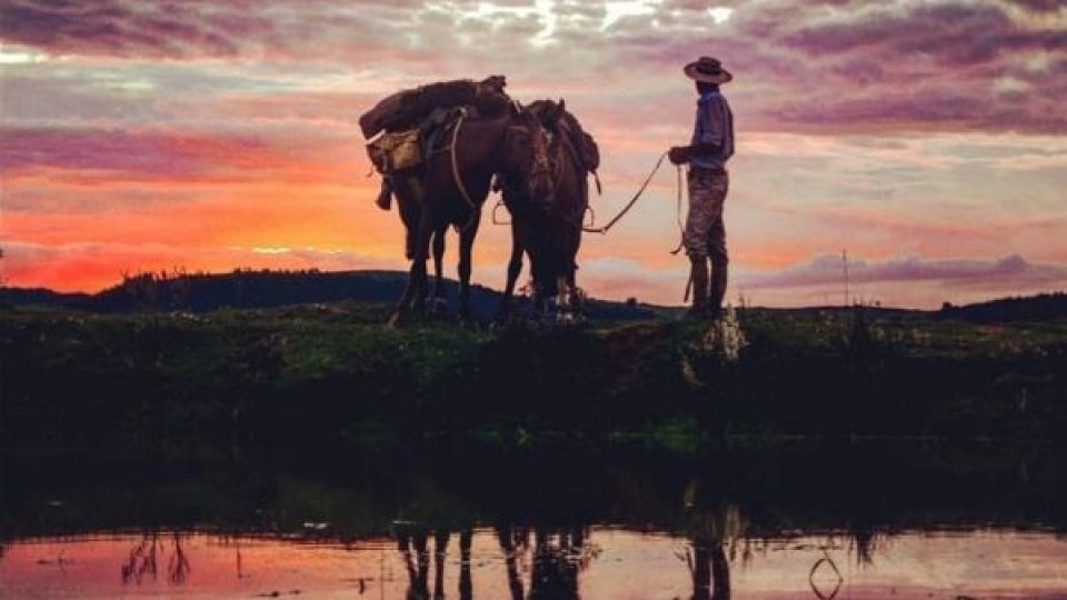 Entre Australia, Uruguay y la pandemia —  Innovación — Dinámica Rural | El Espectador 810