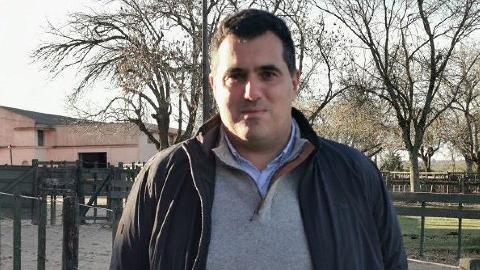 Exportación en pie: ''Vemos un mercado firme, y que seguirá en esa línea'' — Mercados — Dinámica Rural | El Espectador 810