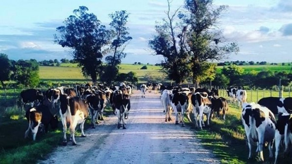 San José crece a influjo del agronegocio —  Economía — Dinámica Rural | El Espectador 810