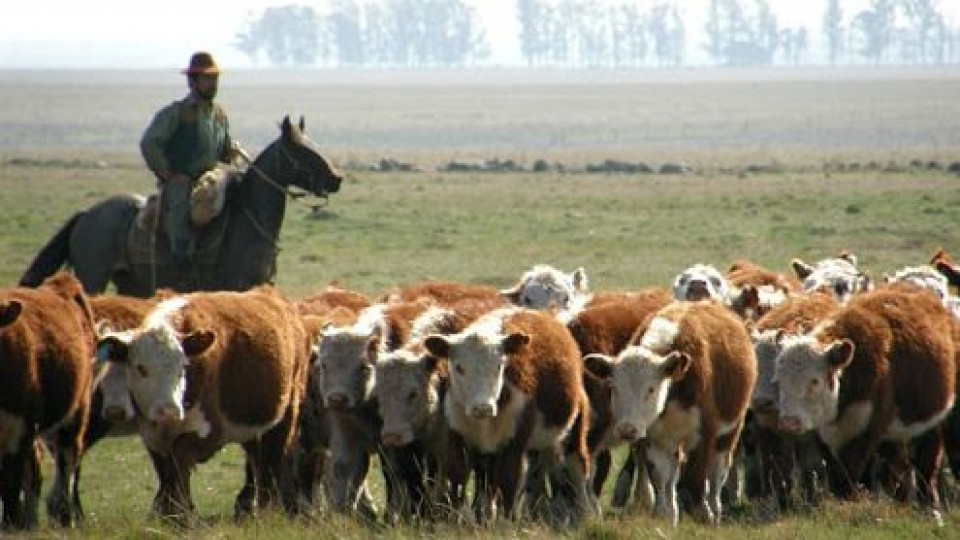 J. González: ''Estamos ante un mercado en suba constante'' —  Mercados — Dinámica Rural | El Espectador 810