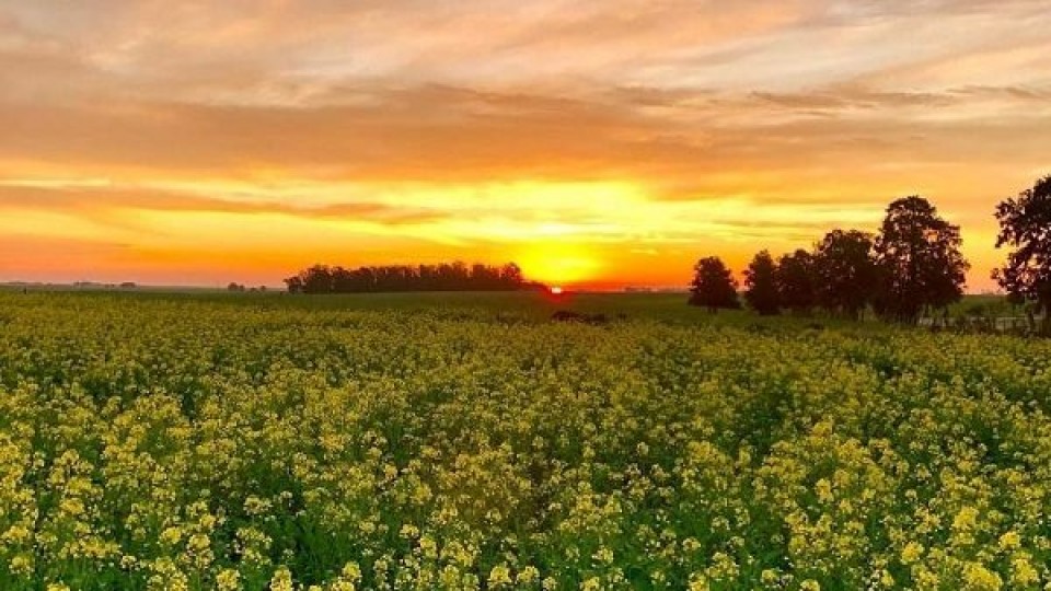 M. Bidegain: ''La primavera se acerca, y con ella 'La Niña''' —  Clima — Dinámica Rural | El Espectador 810