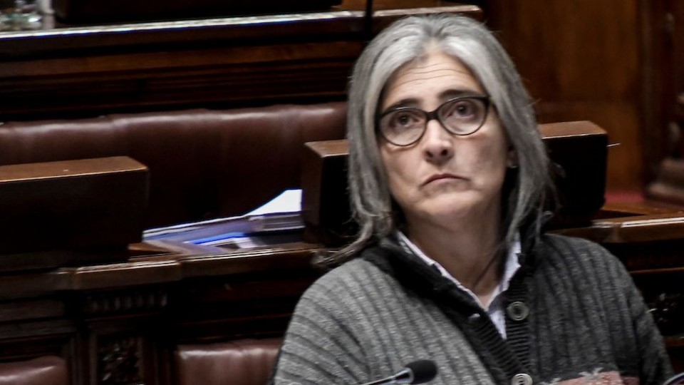 Lucía Etcheverry: “Queremos información, porque el ministro Heber ha caído en numerosas contradicciones” —  Entrevistas — Al Día 810 | El Espectador 810