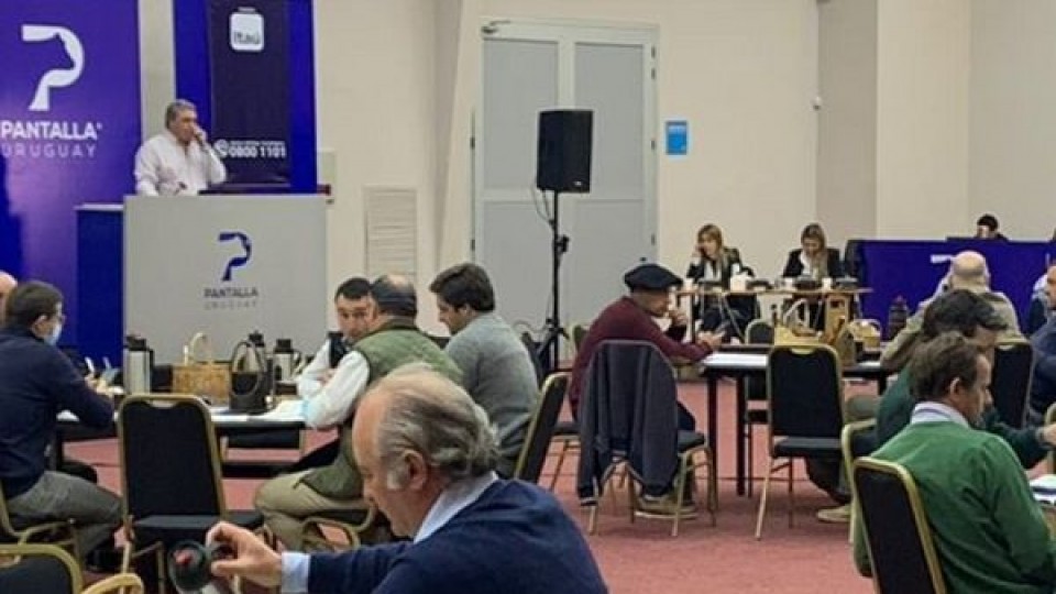 Pantalla Uruguay: Primera jornada con ''mercado ágil y demandado'' — Mercados — Dinámica Rural | El Espectador 810