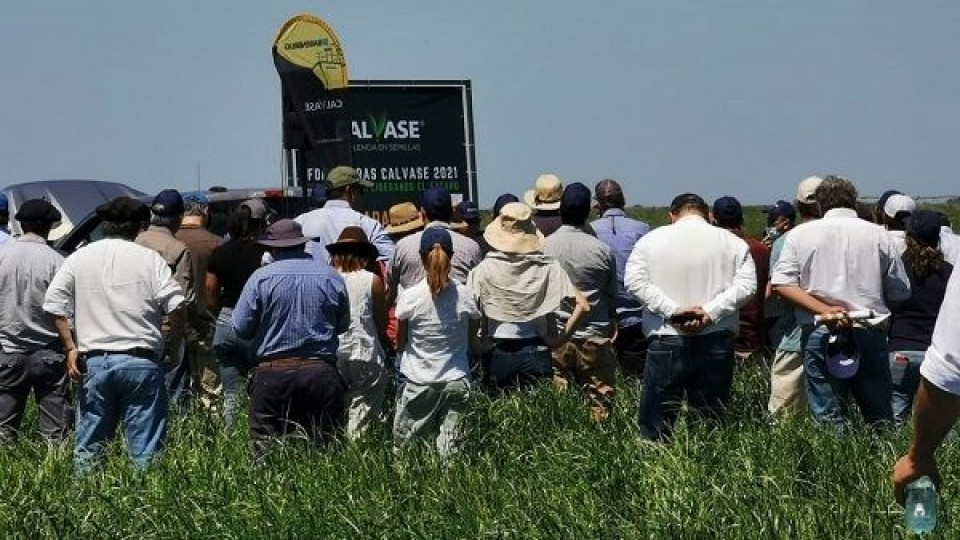 J. M. Otegui: ''Tenemos que avanzar en biopastoreo'' —  Investigación — Dinámica Rural | El Espectador 810