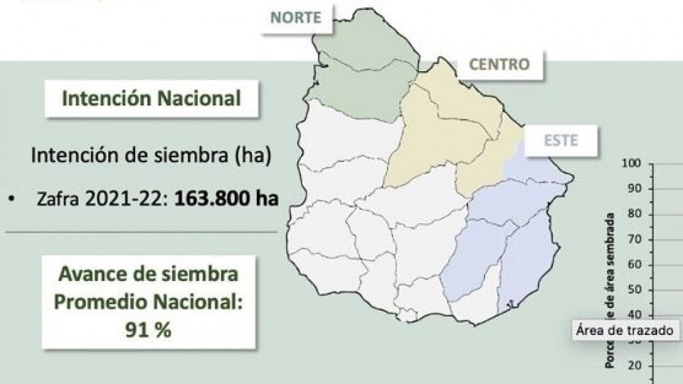 Recta final para el arroz, la siembra alcanza el 91%  del área —  Agricultura — Dinámica Rural | El Espectador 810