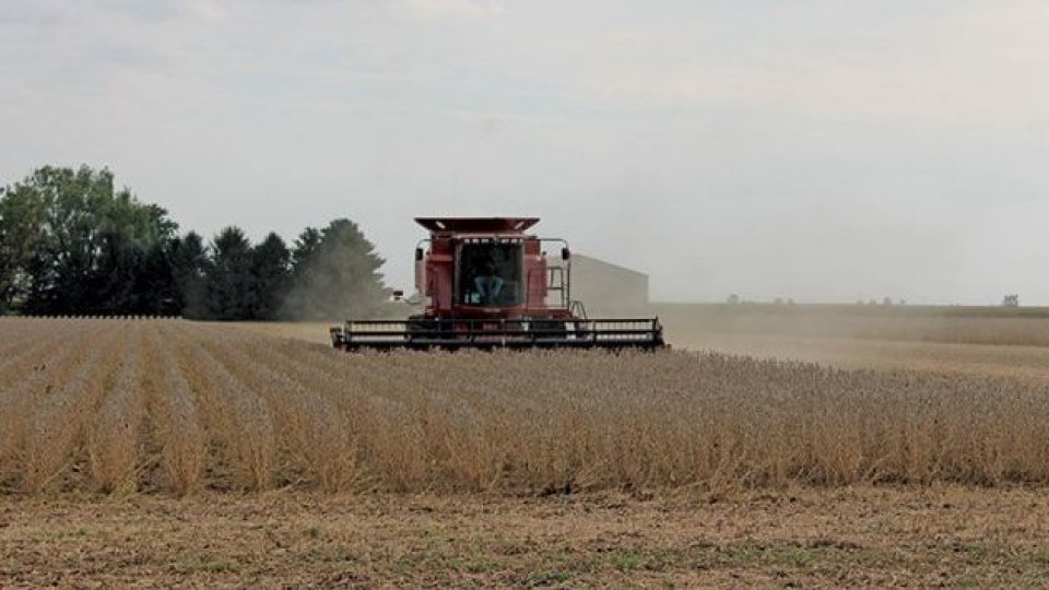 Siembra y cosecha —  Agricultura — Dinámica Rural | El Espectador 810