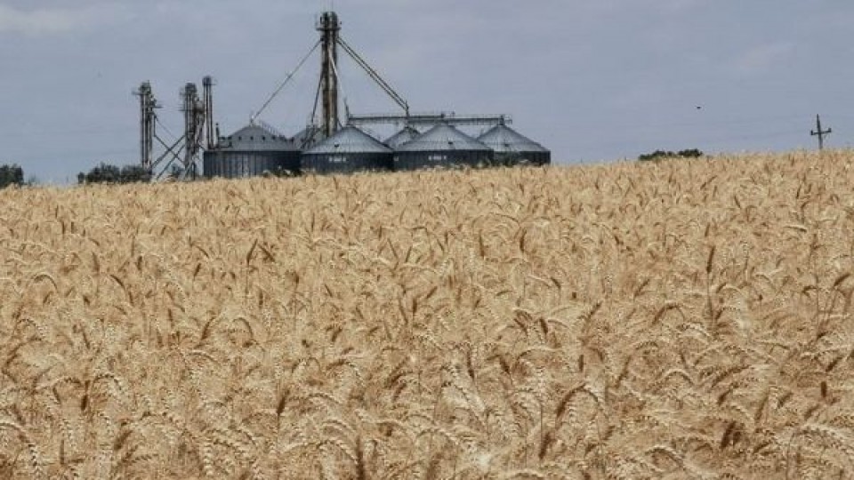 L. Simean: ''Cerramos una zafra de invierno que fue muy buena'' —  Agricultura — Dinámica Rural | El Espectador 810