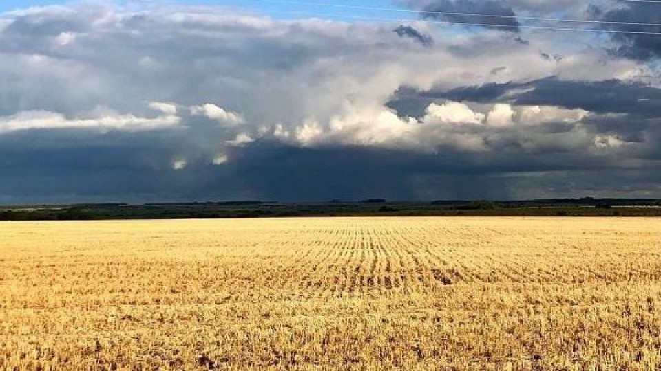 El 2021 cierra con lluvias escasas —  Clima — Dinámica Rural | El Espectador 810