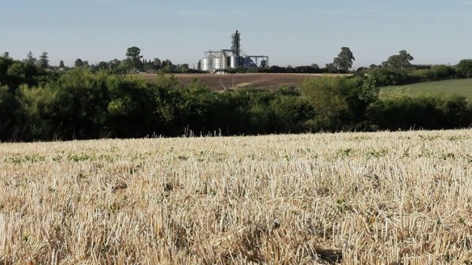 J. L. Pérez: ''La Niña estaría presente hasta abril'' —  Clima — Dinámica Rural | El Espectador 810