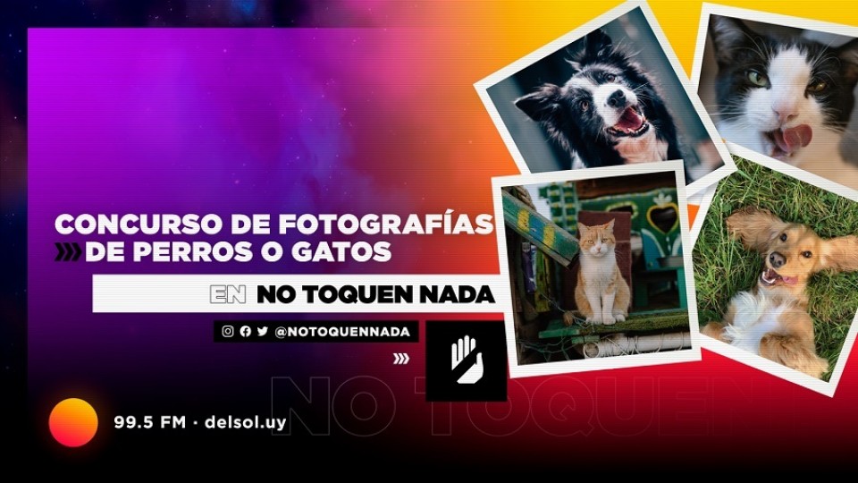 Concurso de fotos de mascotas: los fundamentos del jurado —  Leo Barizzoni — No Toquen Nada | El Espectador 810