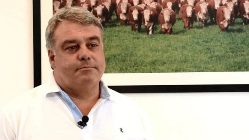 En Pantalla Uruguay, Megaagro rematará 1600 vacunos y 1500 lanares  —  Mercados — Dinámica Rural | El Espectador 810