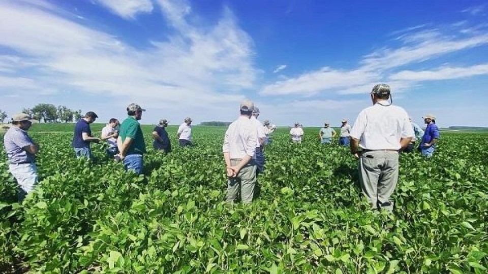 ADP: Luego de las lluvias, de recorrida y con otra expectativa —  Agricultura — Dinámica Rural | El Espectador 810