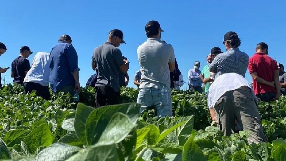 Proquimur ''manejo de plagas en cultivos de verano'' —  Agricultura — Dinámica Rural | El Espectador 810