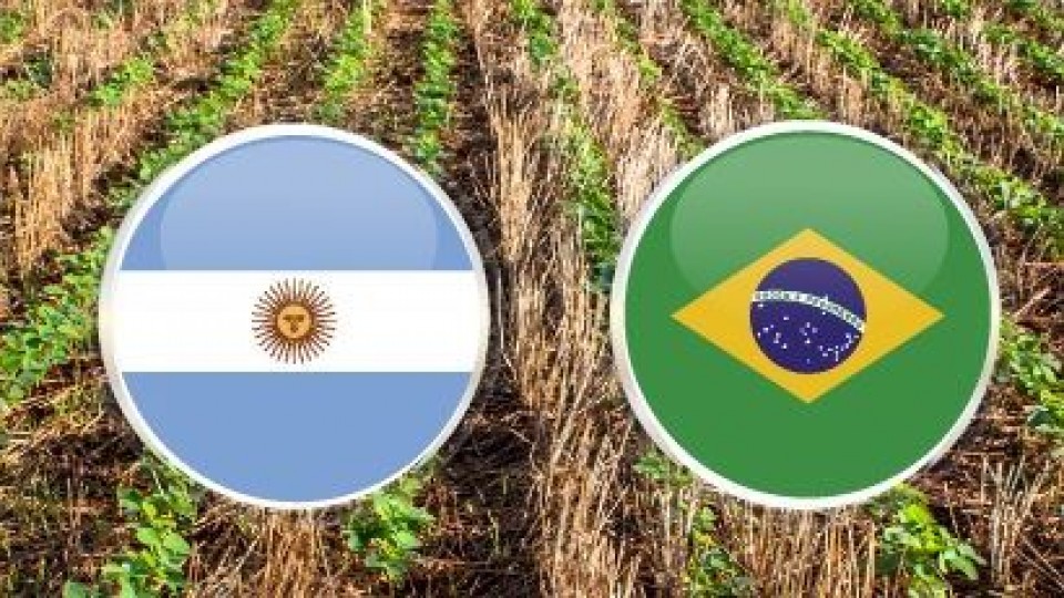 Soja Mercosur: Brasil recorta 20 millones de toneladas y Argentina va en esa línea —  Comercio Exterior — Dinámica Rural | El Espectador 810