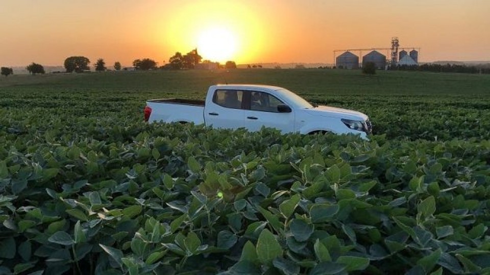 Uruguay alcanzará los 3 millones de toneladas de soja —  Agricultura — Dinámica Rural | El Espectador 810