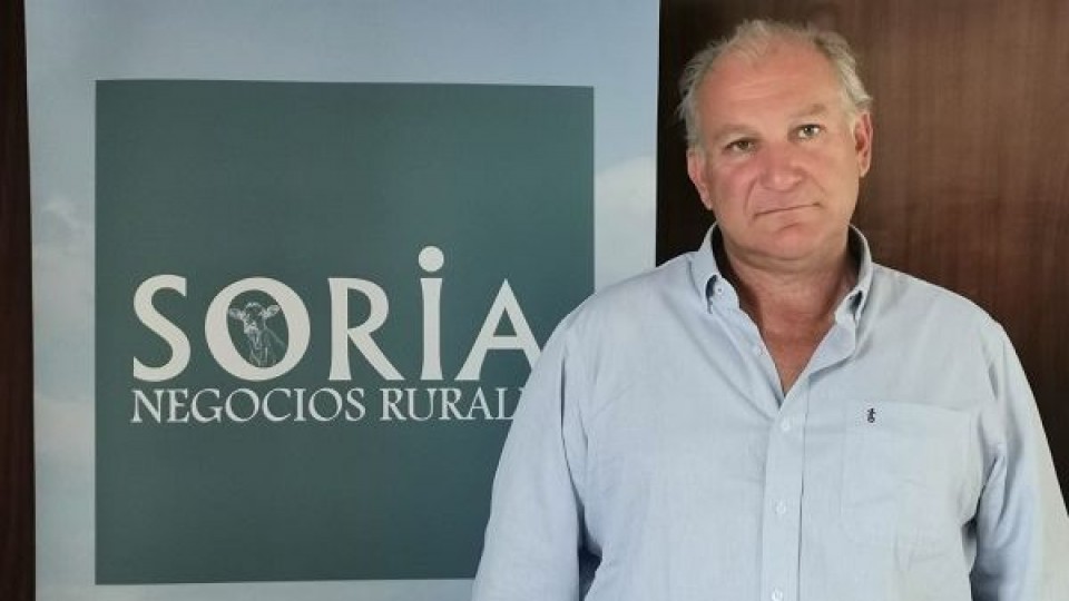 Un remate Holando para criadores de Holando —  Lechería — Dinámica Rural | El Espectador 810