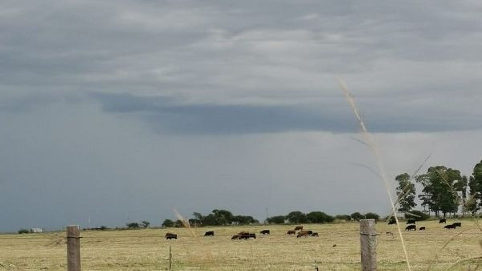 El tiempo: En el litoral norte podría llover entre 20 y 25 milímetros —  Clima — Dinámica Rural | El Espectador 810