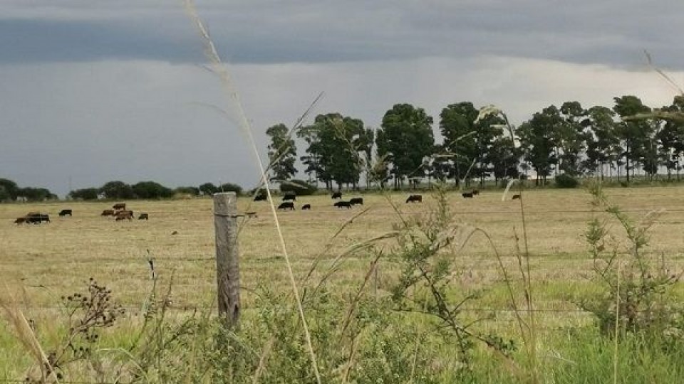 Invierno: Se fueron las altas temperaturas, volvió el frío y con lluvias —  Clima — Dinámica Rural | El Espectador 810